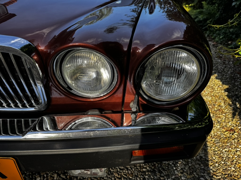 Detail van grille en koplampen in Claret Metallic
